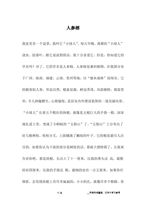 人参榕