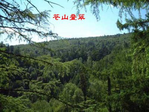 《地下森林断想》(1)