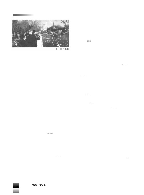 翠湖观鸥散记散文