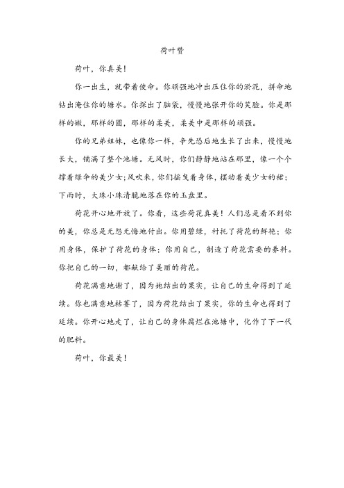 荷叶赞