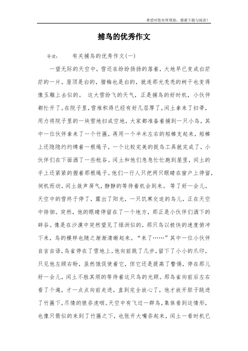 捕鸟的优秀作文