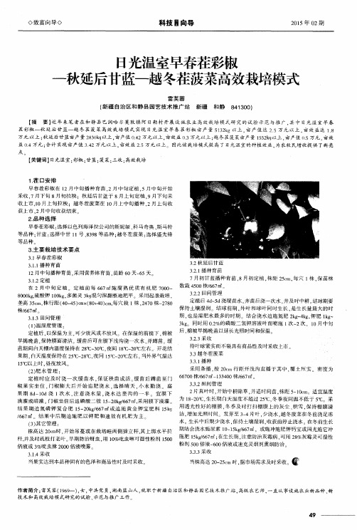 日光温室早春茬彩椒—秋延后甘蓝—越冬茬菠菜高效栽培模式