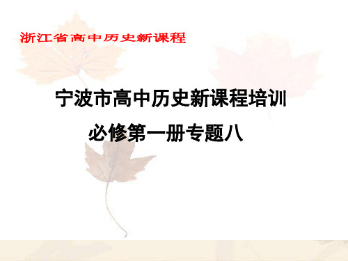 解放人类的阳光大道ppt7 人民版