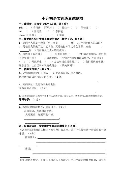 滨州小升初语文模拟试卷及参考答案