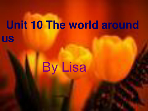 高中英语Unit10Theworldaroundus课件 