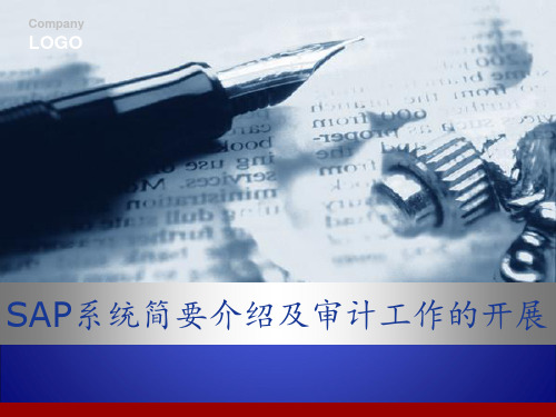 SAP简介及其审计 ppt课件