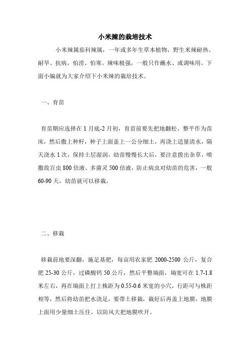 小米辣的栽培技术.doc