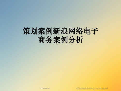 策划案例新浪网络电子商务案例分析