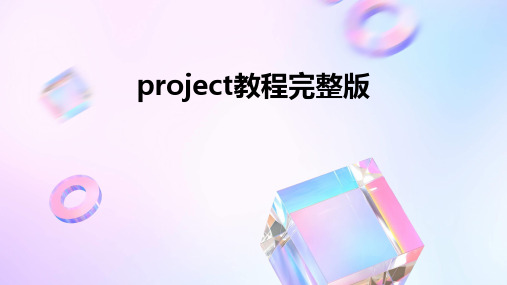 Project教程完整版