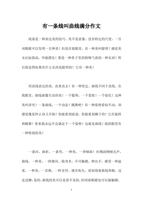 有一条线叫曲线满分作文