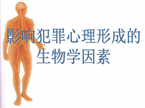 【2019年整理】影响犯罪心理形成的生物学因素