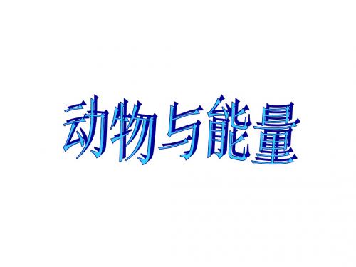 六年级上册科学课件-第10课《动物与能量》｜冀教版   (共18张PPT)