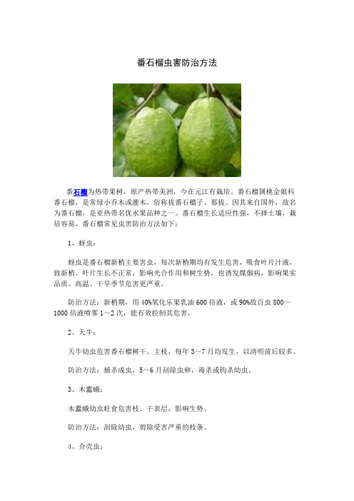 番石榴虫害防治方法