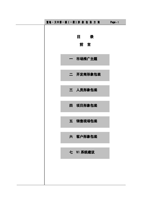 置地天中第一城形象包装方案
