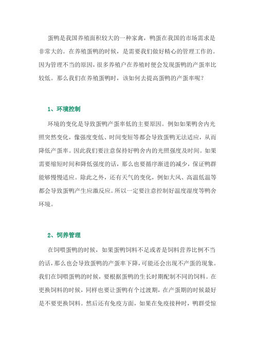 养鸭经验：如何提高蛋鸭的产蛋率？