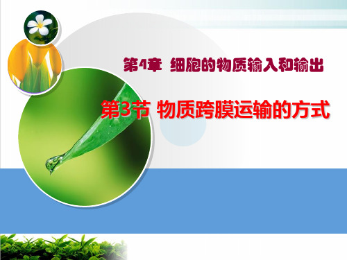 【新教材】人教版高中生物物质跨膜运输的方式PPT名师课件2