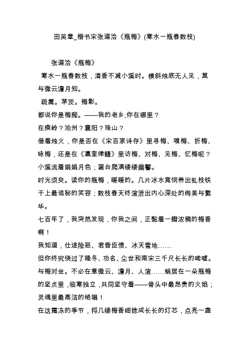 田英章_楷书宋张道洽《瓶梅》(寒水一瓶春数枝)