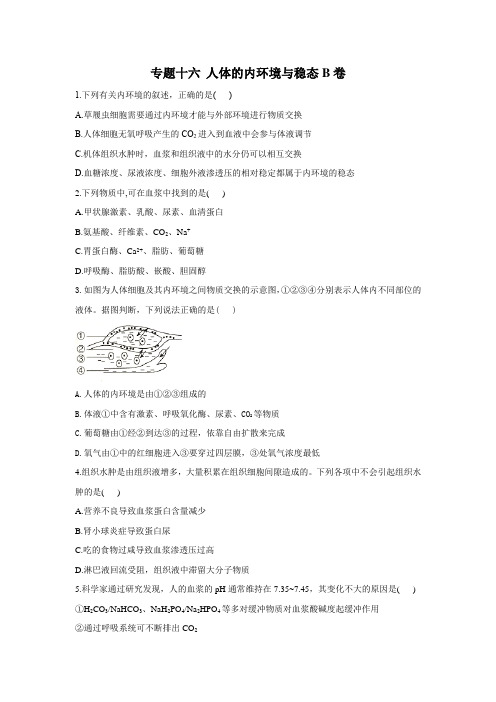 2021届新高考生物二轮复习专题强化双击训练  专题十六 人体的内环境与稳态B卷(Word版含答案)