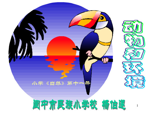 小学自然《动物和环境》PPT课件