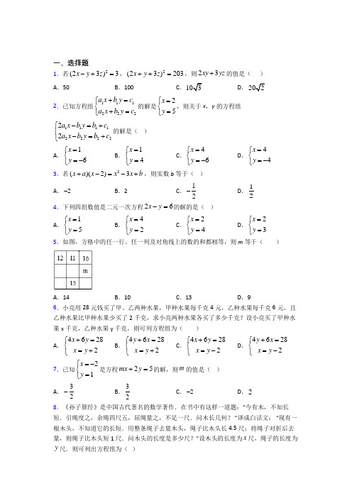 (必考题)初中数学八年级数学上册第五单元《二元一次方程组》检测题(含答案解析)