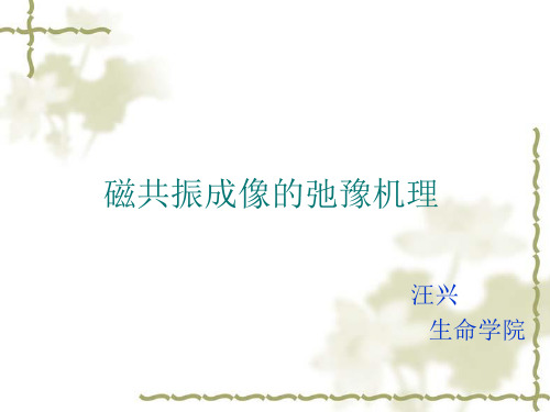 核磁共振成像的弛豫机理