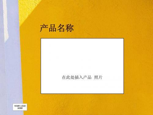 产品概述模板2-商务管理PPT ppt模板