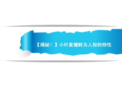 【揭秘!】小叶紫檀鲜为人知的特性