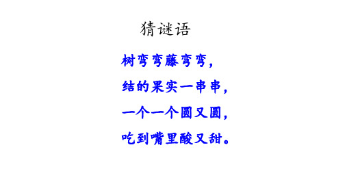 二级语文上册课件 葡萄沟 人教版部编版 