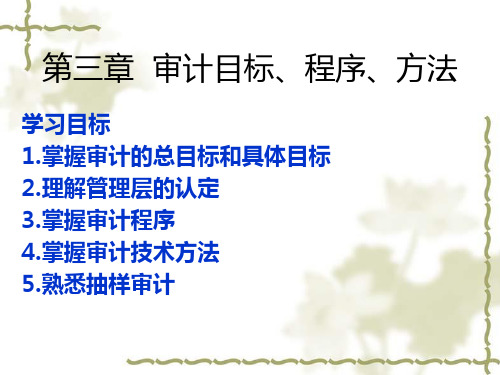 第三章审计目标、程序、方法