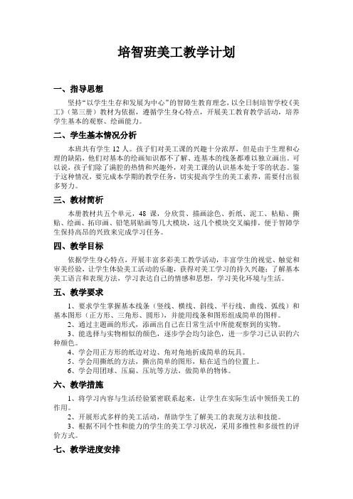 培智班美工教学计划