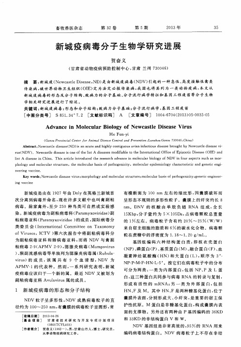 新城疫病毒分子生物学研究进展