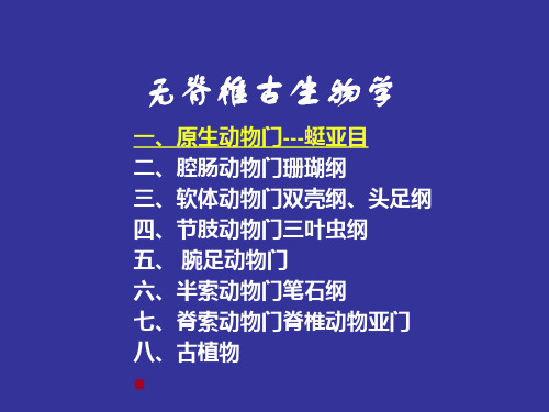 古生物学课件