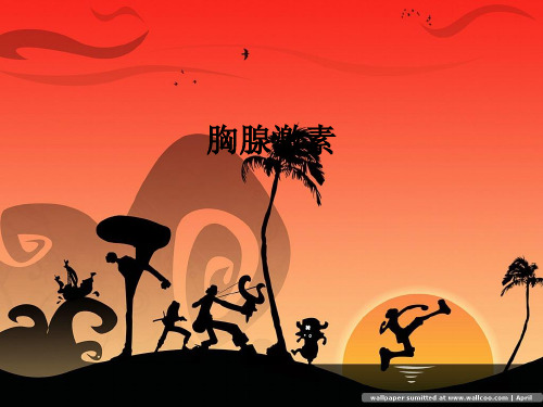 胸腺激素ppt课件