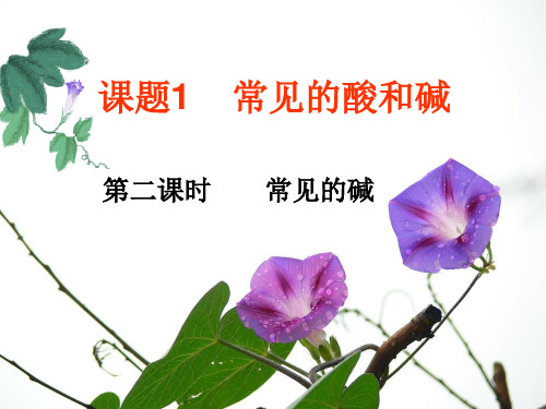 人教版初中化学九下10.1 常见的酸和碱 -常见的碱 课件 _3ppt