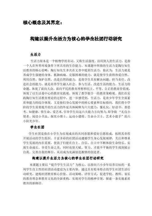 核心概念及其界定