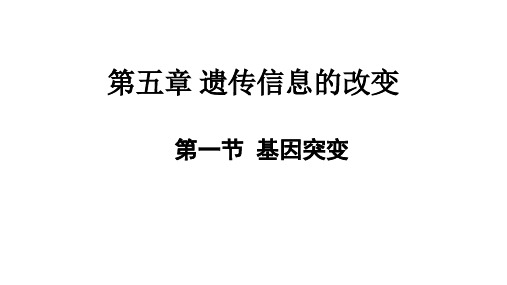 高中生物必修2《第5章遗传信息的改变第1节基因突变》116北师大PPT课件