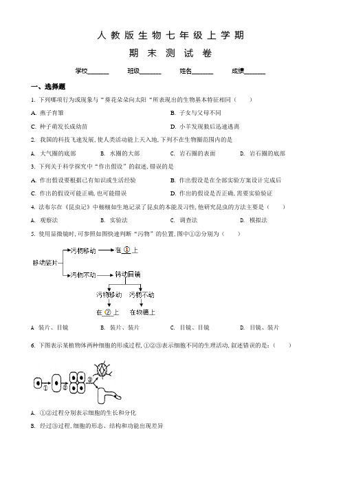 人教版生物七年级上学期《期末考试试题》附答案