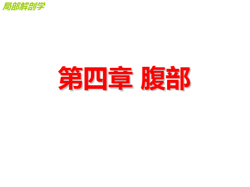 腹部局部解剖