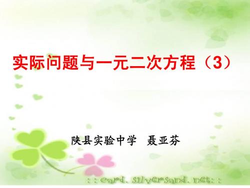 实际问题与一元二次方程(3)