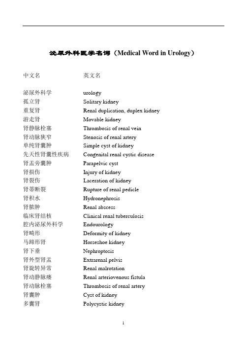 泌尿外科医学名词(MedicalWordinUrology)