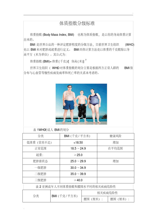 中国人体质指数分级标准