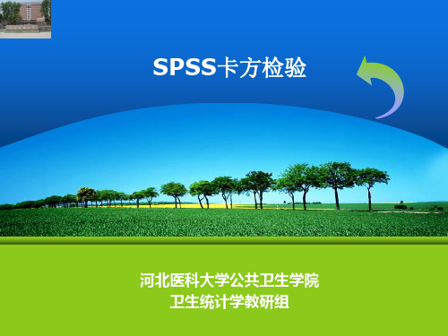 spss卡方检验