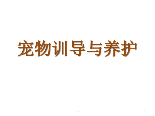 宠物训导与养护精选.pptx