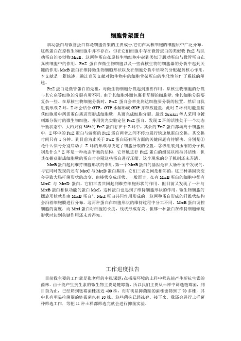 细胞骨架蛋白