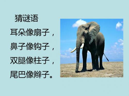 4、曹冲称象