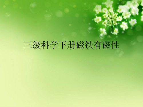 三级科学下册磁铁有磁性优秀课件