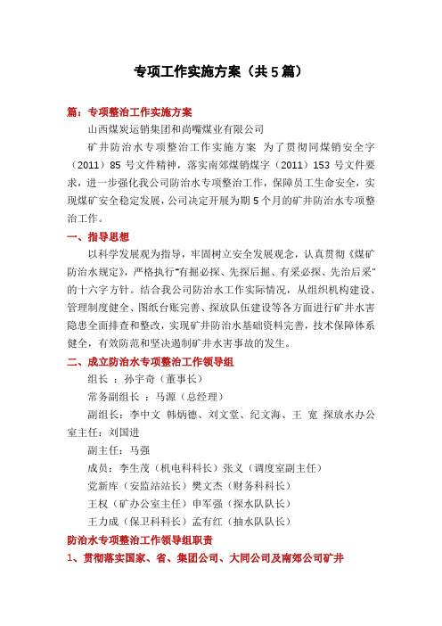 专项工作实施方案(共5篇)