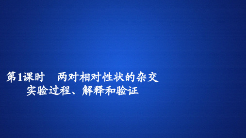 2019-2020学年 人教版 必修2  两对相对性状的杂交实验过程、解释和验证 课件  (49张)