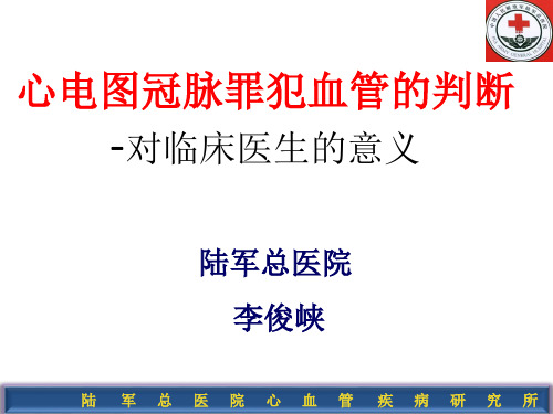 罪犯血管的判断ppt件