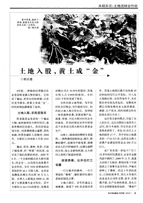 土地入股,黄土成“金”